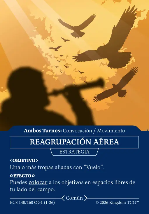 REAGRUPACIÓN AÉREA